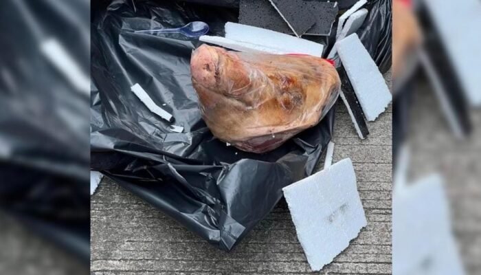 Teror Paket Kepala Babi ke Redaksi Tempo, Diduga Bentuk Intimidasi terhadap Jurnalis