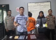 Satresnarkoba Polres Raja Ampat Gelar Press Release Terkait Penangkapan Pelaku Pengedar Narkoba