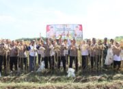 Polres Kediri Kota bersama Warga Tani Panen Raya Jagung, Wujud Nyata Dukung Swasembada Pangan