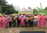 Polres Pelabuhan Tanjung Perak bersama Poktan Panen Raya Jagung Tahap 7, Perkuat Ketahanan Pangan Nasional