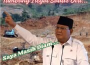 Presiden Prabowo Tersenyum Ketika Disinggung Marak Tambang Ilegal : Saya Masih Diam Tunggu Tanggal Mainnya