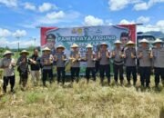 Dukung Ketahanan Pangan Nasional, Irwasda Pimpin Panen Raya Jagung di Perkebunan Wawo Tomohon