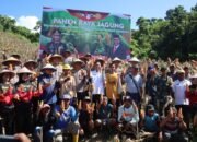 Wujud Nyata Dukung Ketahanan Pangan Nasional, Polda Papua Gelar Panen Raya Jagung