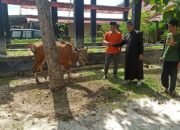 Maknai Idul Adha 1446 H, Kapolda Kalteng Sumbang Seekor Sapi untuk Kurban PWI