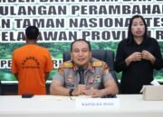Polda Riau Tangkap Penjual Lahan di Hutan Tesso Nilo