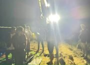 Polda Sumbar Amankan Delapan Penambang Emas Ilegal dan Satu Unit Excavator di Nagari Lubuk Layang