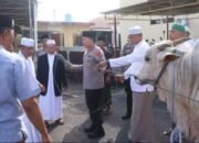 Di Hari Raya Idul Adha 1446 H, Polda Sulut Sembelih Hewan Qurban Sebanyak 17 sapi dan 7 kambing