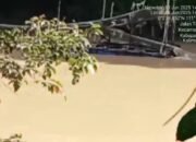 Maraknya Penambang Mas Disungai Semerah Kecamatan Sepauk : Kapolda Kalbar diminta Tindak Tegas Sesuai Atensi Kapolri