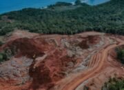 Studi Ungkap Bahayanya Tambang Nikel, Ini Dia