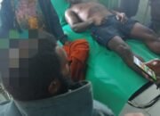 KKB Tembak Mati Tiga Warga Sipil dan Bakar 11 Honai di Kampung Lambera, Puncak