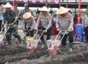Sukseskan Ketahanan Pangan Nasional, Polda Kalteng dan Polresta Palangka Raya Tanaman Jagung di Rakumpit