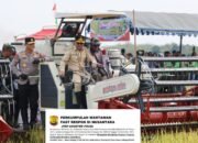 Dukung Ketahanan Pangan, Kapolda Kalteng Bersama Gubernur Panen Raya Padi di Kapuas