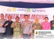 Dukung Program Swasembada Pangan Tahun 2025, Kapolda Sulsel Pimpin Panen Raya Jagung di Kabupaten Sidrap