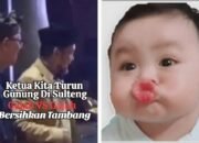 Pengusaha Batu Hitam Lebih Takut Ke Agus Flores Ketimbang Polisi, Tidak Berani Masuk Sulteng