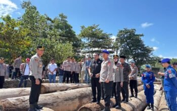 Kapal Tongkang Kayu Ilegal Kandas di Pesisir Barat, Kapolda Lampung Turun Langsung: ‘Tak Ada Ruang untuk Illegal Logging!