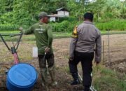 Dukung Ketahanan Pangan, Polisi Penggerak Polres Raja Ampat Dampingi Petani Tanam Jagung di Waisai