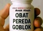 Nyalii..Polda Riau Dan Gakkum LHK Untuk Tangkap Bos Dan Pemodal Pembalakan Liar Kerdil, Hingga Bebas Berkeliaran