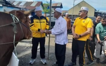 Jelang Haul ke-6 KH. Ahmad Zuhdiannor, Kapolda Kalsel Serahkan Dua Sapi Limosin untuk Konsumsi Jemaah