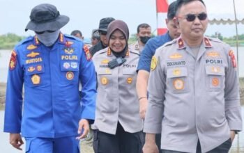 Wujudkan Ketahanan Pangan Nasional, Wakapolda Metro Jaya Tinjau Lahan Produktif 49 Hektar di Muara Gembong