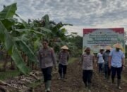 Kapolda Papua Barat Daya Pimpin Penanaman 500 Tunas Uwi Ungu untuk Ketahanan Pangan