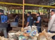 Bareskrim Polri Bongkar Lokasi Pengolahan Timah Ilegal di Belitung Timur, Dua Orang Jadi Tersangka