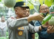 Wujudkan Kemandirian Pangan, Kapolda Jabar Apresiasi Green House Binaan Bhabinkamtibmas di Kurdi Timur