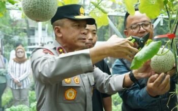 Wujudkan Kemandirian Pangan, Kapolda Jabar Apresiasi Green House Binaan Bhabinkamtibmas di Kurdi Timur