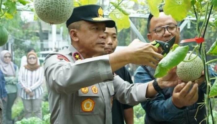 Wujudkan Kemandirian Pangan, Kapolda Jabar Apresiasi Green House Binaan Bhabinkamtibmas di Kurdi Timur