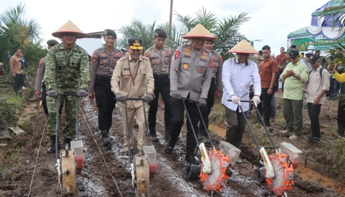 Wujudkan Ketahanan Pangan, Polda Kalteng Gandeng PT. MKM Tanam Jagung di Tengah Lahan Sawit