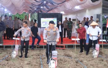 Polda Gorontalo Dukung Swasembada Pangan 2026, Kapolda dan Forkopimda Tanam Jagung Serentak Kuartal I