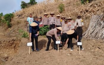 Dukung Swasembada Pangan, Polres Raja Ampat Gelar Tanam Jagung Serentak Kuartal I T.A 2026 di Lahan 1 Hektare