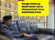 Ketum PW-FRN Agus Flores: Tambang Timah Ilegal Masih Masif, Bareskrim Harus Super Ketat