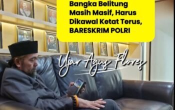 Ketum PW-FRN Agus Flores: Tambang Timah Ilegal Masih Masif, Bareskrim Harus Super Ketat
