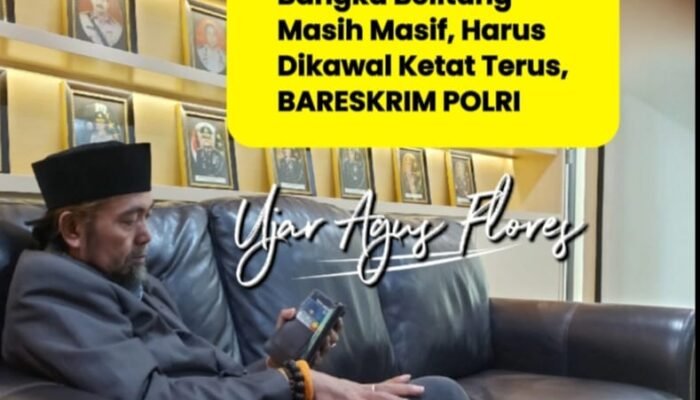 Ketum PW-FRN Agus Flores: Tambang Timah Ilegal Masih Masif, Bareskrim Harus Super Ketat